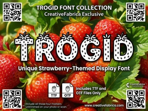 Sweeten Your Creative Projects with Trogid